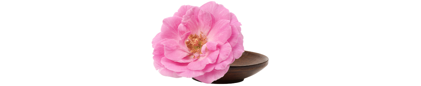 Innovastemcell Rosa Damascena®